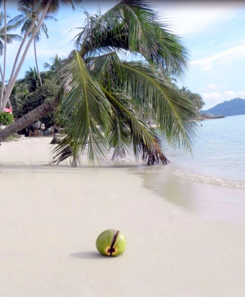 Sibaja Palms Sunset Beach Luxury Apartments Taling Ngam Beach Eksteriør bilde