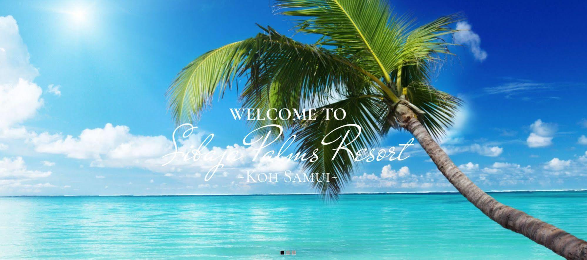 Sibaja Palms Sunset Beach Luxury Apartments Taling Ngam Beach Eksteriør bilde